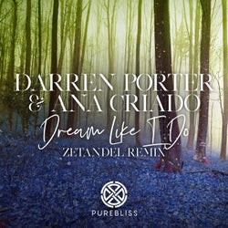 Dream Like I Do (Zetandel Remix)