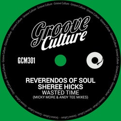 Wasted Time (Micky More & Andy Tee Mixes)
