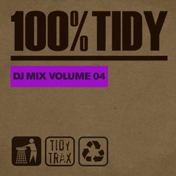 100% Tidy, Vol. 4