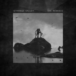 Strange Valley ((The Remixes))