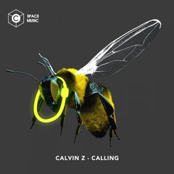 Calling (Original Mix)