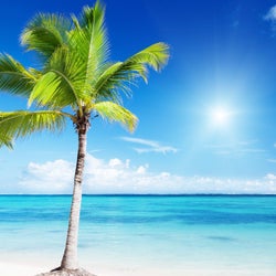Summer Splashers vol.1