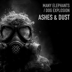 Ashes & Dust