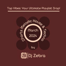 Melodic House & Techno Charts : March 2024