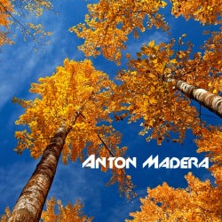 Anton Madera - Fall Chart