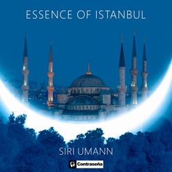 Essence Of Istanbul