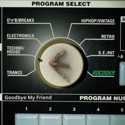 Goodbye My Friend
