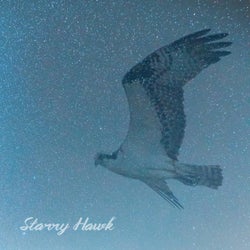 Starry Hawk