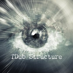 TDub Structure