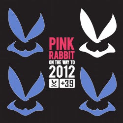 A Pink Rabbit On The Way To 2012