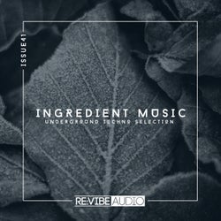 Ingredient Music, Vol. 41