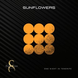 One Night In Tenerife