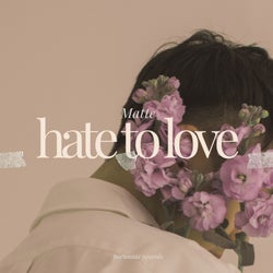 Hate to Love  (Original Mix)
