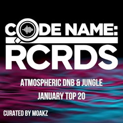 Atmospheric DnB & Jungle - January Top 20