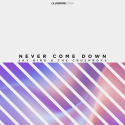 Never Come Down (Extended Mix)