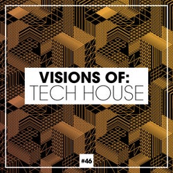 Visions Of: Tech House Vol. 45