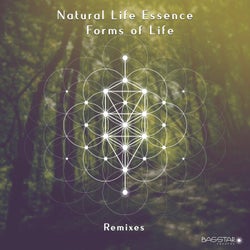 Forms Of Life (Remixes)