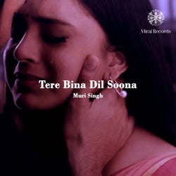 Tere Bina Dil Soona