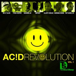 Ac!D Revolution Vol. 1