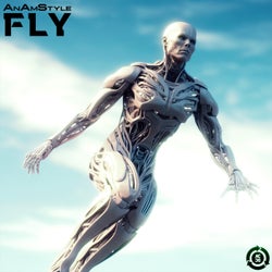 Fly