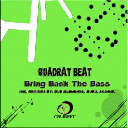 Bring Back The Bass