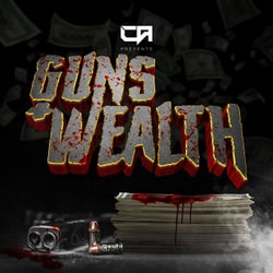 Guns & Wealth