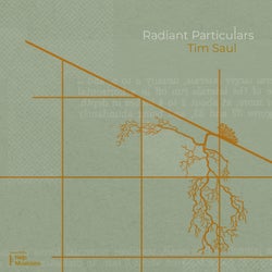 Radiant Particulars (Radio Mix)