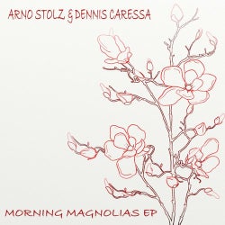 Morning Magnolias