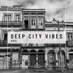 Deep City Vibes Vol. 45