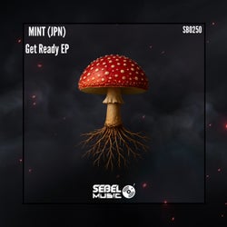 MINT (JPN) Music & Downloads on Beatport