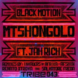 Mtshongolo (feat. Jah Rich)