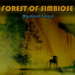 Mystical Forest