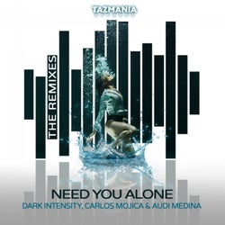 Need You Alone (The Remixes)