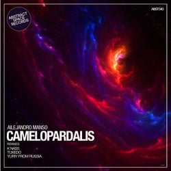 Camelopardalis