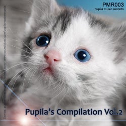 Pupila's Compilation Vol.2