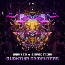 Quantum Computers