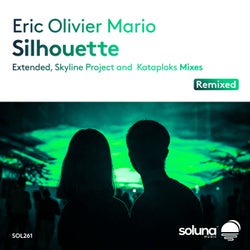 Silhouette Remixed