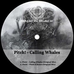 Calling Whales