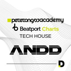 PTDJA - AnDD Tech House Record Bag