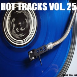 Hot Tracks Vol. 25