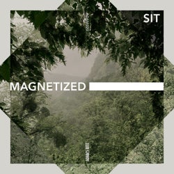 Magnetized