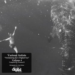 Various Artists - Swimming In A Digital Sea: Volume 4: Compiled By Norman H