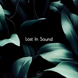 Lost In Sound