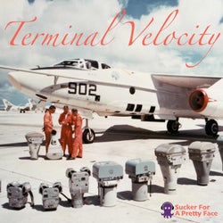 Terminal Velocity