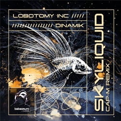 Skyliquid (Cap-M Remix)