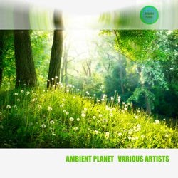 Ambient Planet Various Artists