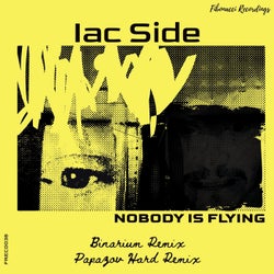 Nobody Is Flying