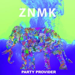 Party Provider