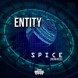 Spice (Remixes)