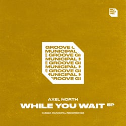 While You Wait (Extended Mixes)